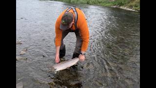 Summer salmon Fishing at Middle Pavilion