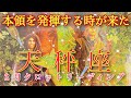 🌈タロット✨天秤座♎２月【うれしいお知らせが届きそう】🥳タロットカード＆オラクルカードリーディング🍀🍀🍀
