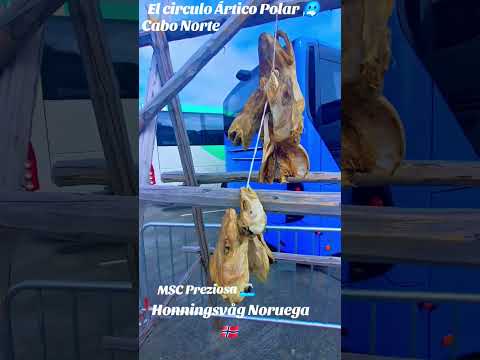 Bienvenidos a Honningsvåg en cabo Norte Noruega ???????????????? el círculo ártico polar ???? MSC Pr