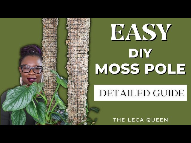 A Simple Guide to Building Your Own Moss Pole