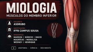Miologia - O estudo dos músculos - membro inferior 🦵🏻