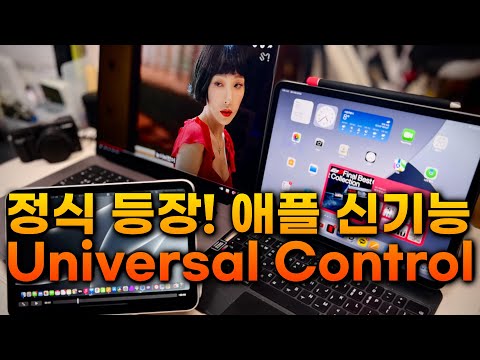 정말 너무 편해요! 정식 출시된 애플의 야심작 신기능 Universal Control 사용 및 꿀팁