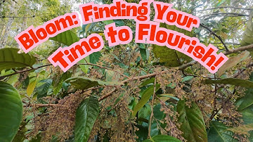 Bloom:  Finding Your Time to Flourish | ASMR 🌸