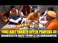 LIVE: UP CM Yogi Adityanath offer prayers at Bharohiya Shiv Temple in Gorakhpur | Maha Shivratri