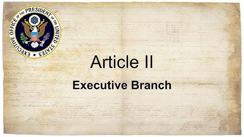 The Executive Branch