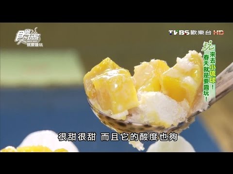 【小琉球】海之家貝殼冰店 將海鮮搭配冰品一起吃 食尚玩家 20160225