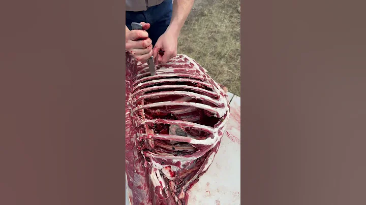 Deer processing. Tag a friend who leaves the ribs behind. #shorts #trending #hunting #deer #food