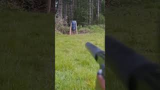Thinning some Rats with the Weihrauch HW98 .22 springer.#pestcontrol #airgun #weihrauch