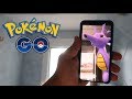 FESTIVAL SHINY EN EL EVENTO GO FEST POKEMON GO