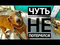 Как подобранный пес приживается у нас на передержке?  ОН ЧУТЬ НЕ УБЕЖАЛ😱 2 часть