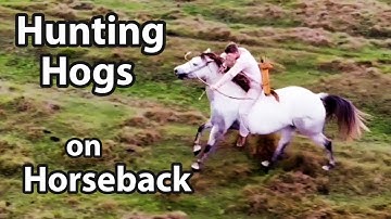 Hunting Hogs on Horseback