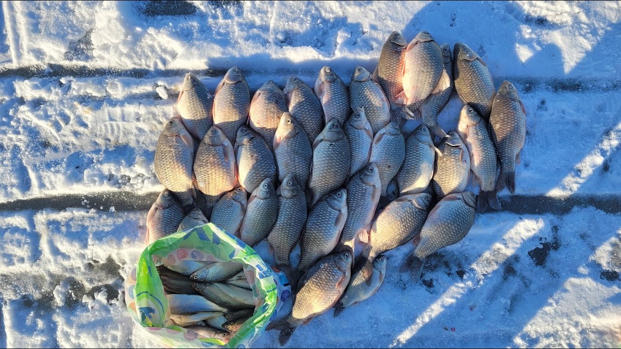 Отчеты о рыбалке челябинская область 2025