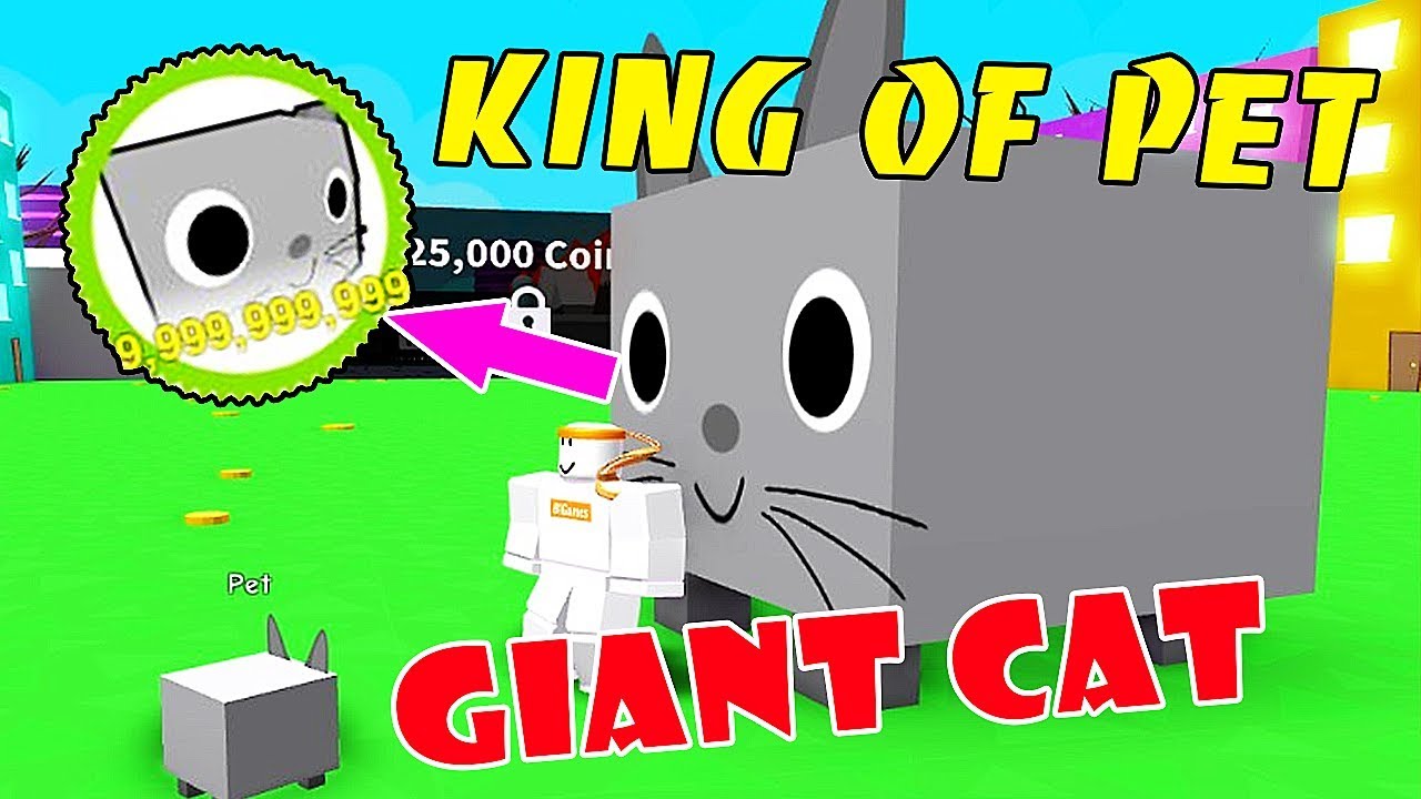 Pet Simulator Codes Giant Cat Lena Eastwood