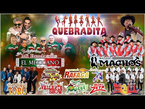 QUEBRADITA 90'S PARA BAILAR | BANDA MIX " Banda El Mexicano , Banda Machos, Toro , Zeta ...y Más "
