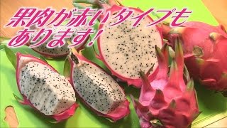 ドラゴンフルーツ輸入と国産で味比べ! (^^ゞ Dragon(Pitaya) fruit taste