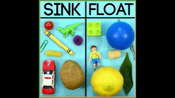 Sink or Float | Activities for Kids
