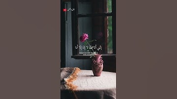 تلاوة خاشعة ومؤثرة القارى احمد خضر🎧❤️‍🩹 #أرح_سمعك_وقلبك #اكسبلور #طمئن_قلبك #راحة_نفسية
