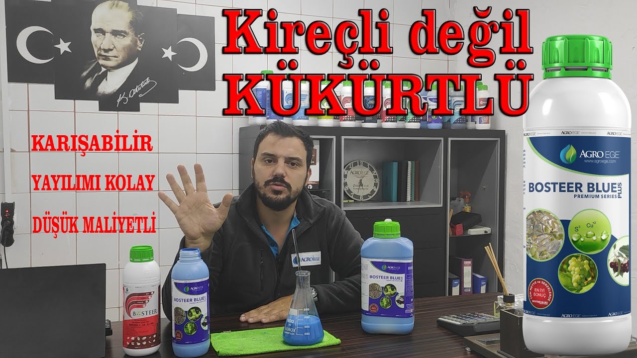 AGROEGE DEN SIVI BORDO - BOSTEER BLUE