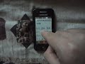 Middle of video