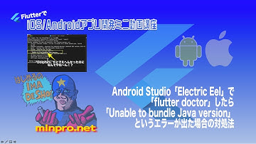 解消済：Android Studio「Electric Eel」で「flutter doctor」したら「Unable to bundle Java version」というエラーが出た場合の対処法
