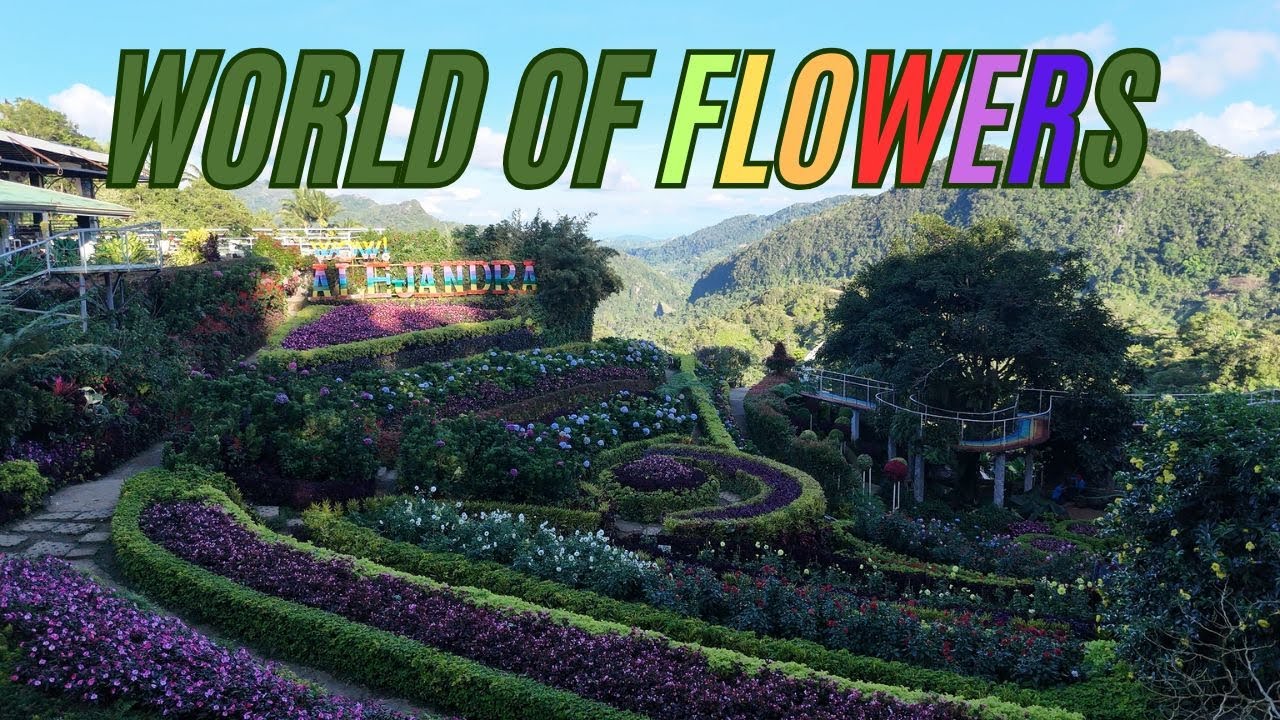 ALEJANDRA'S FLOWER GARDEN l Buwakan ni Alejandra l Balamban Cebu Philippines #nature