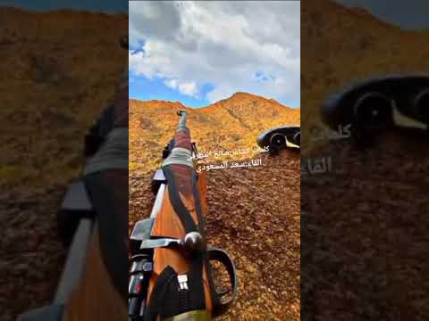 قصيدت صخيفات الرقاب 