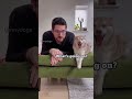 Funny Dogs Pet Dogscats Dogshorts Dog Doglover Doglife Funny Dogs Pet Dogscats Dogshorts Dog Doglover Doglife