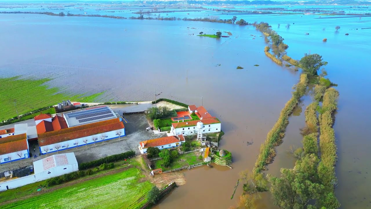 Cheias em Alpiarça 08 de Fevereiro  de 2026
