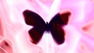 Video thumbnail of "Bassnectar - Butterfly (feat. Mimi Page)"