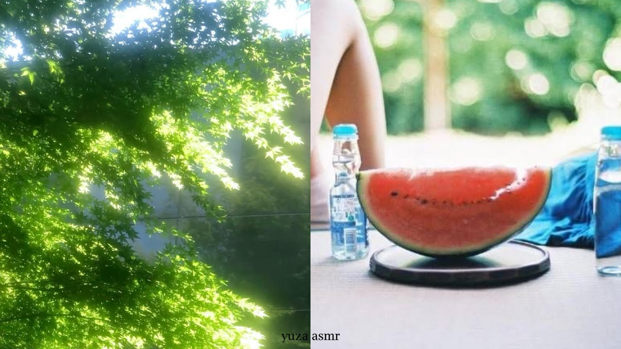 𝗮𝘀𝗺𝗿 | 여름과 피아노