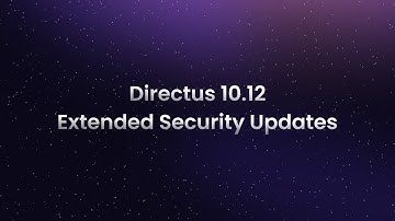 Extended Security Updates for Directus 10.12