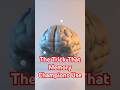 The Trick That Memory Champions Use — And You Can Too #brainhacks #memorizationtechniques #focus