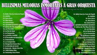 BELLISIMAS MELODIAS INMORTALES A GRAN ORQUESTA - ORQUESTACIONES MAGISTRALES PARA EXITOS DEL RECUERDO