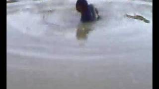 Barramundi Casnet Menjala Siakap