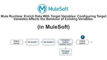 Mule Runtime: Enrich Data With Target Variables: Configuring Target Variables (in MuleSoft)