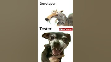 Developer vs Tester | The Forever Battle