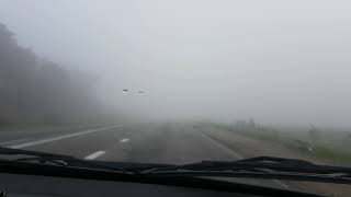 Туман | Осень | Дорога в Запорожье