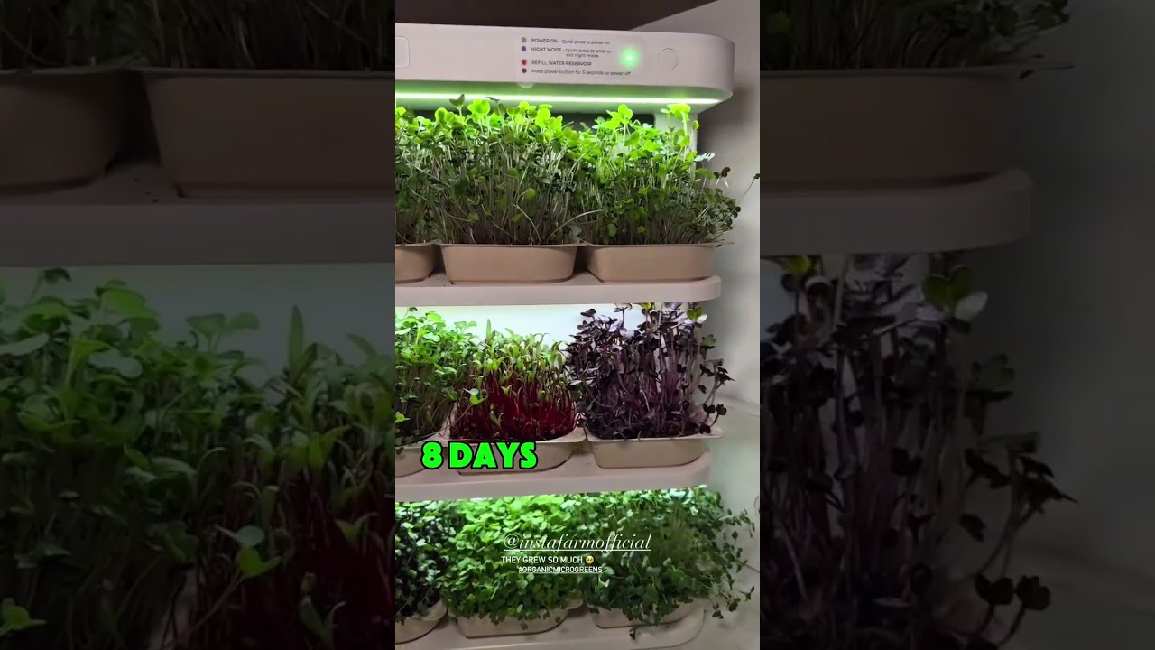 A Customer's First Few Days with Their Instafarm - Easy Delicious Nutrition at Home 