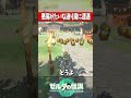 通り魔になったバカ主人公『ゼルダの伝説ティアーズオブザキングダム』 #shots
