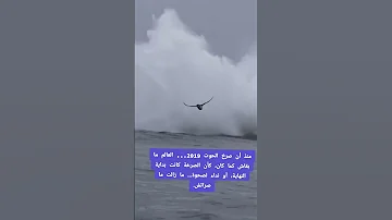 صرخة الحوت 2019 كانه يخبرنا اننا ضعنا وابتعدنا كثيراااا سطيف 