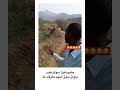 سوداني جاي بفيزه سواق وسرحوه بالغنم Shorts سوداني جاي بفيزه سواق وسرحوه بالغنم Shorts
