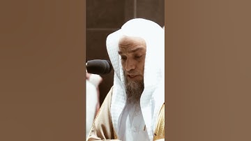 تلاوة مرئية سورة فاطر الآيات من ٣١ إلى ٣٢ الشيخ فيصل غزاوي