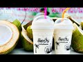 Coconut fresh milk smoothie  coconut milk drink  street drink  thai street food