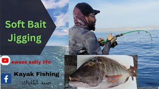 الصيد بالسوفت عملي / fishing with soft bait screenshot 2