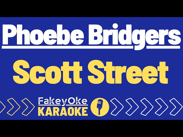 Phoebe Bridgers - Scott Street [Karaoke]