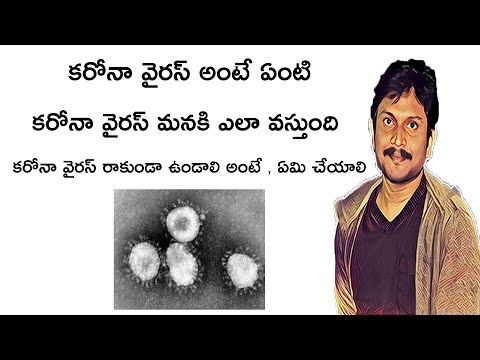 కరోనా వైరస్ - coronavirus Full Information In Telugu By Kanthu