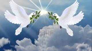 A RENGUK OLDANGES  brisia tangelbad