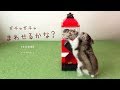 レゴブロックでハムスター専用ガチャガチャを作ってみました♪ 　Hamster