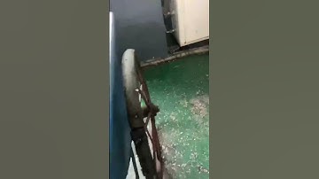 75mm table fan motor core lamination progressive die with double row .