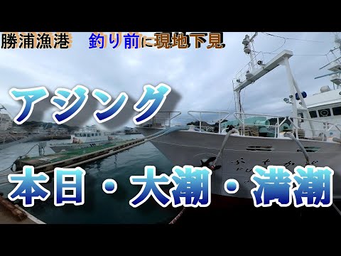 アジングするのに勝浦漁港を下見調査 Youtube アジングするのに勝浦漁港を下見調査 Youtube